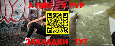 круглые Кингисепп