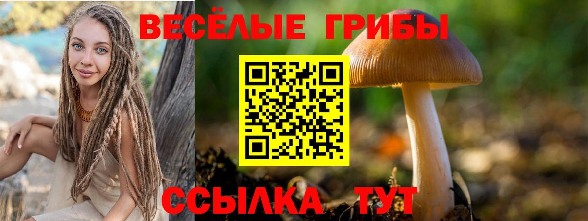 Псилоцибиновые грибы прущие грибы Киселёвск